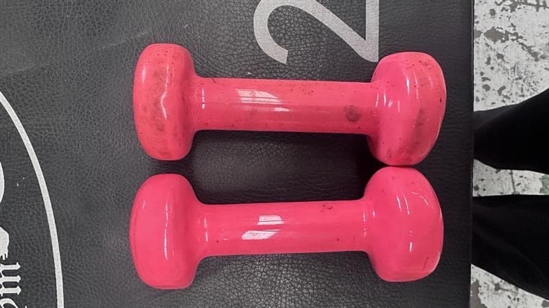 Pink Vinyl Dumbbells, photo 1 of 2