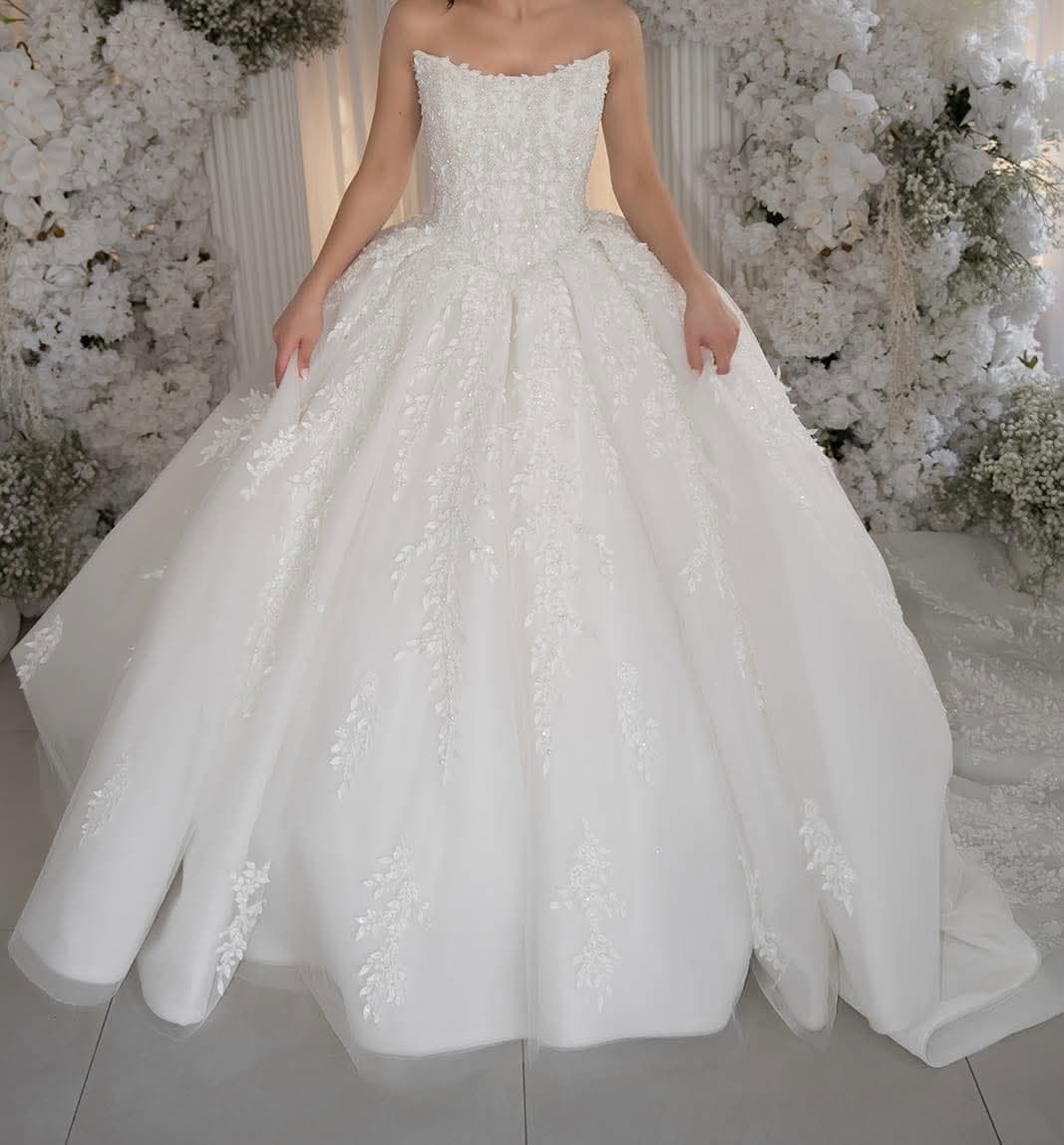 Idora Bridal Wedding Dress with veil included, photo 3 of 5