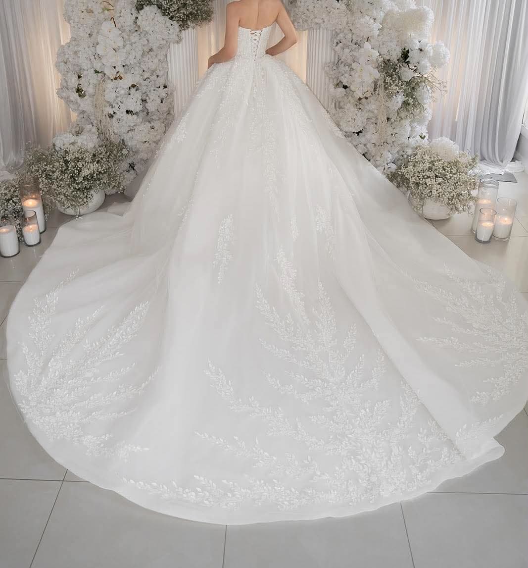 Idora Bridal Wedding Dress with veil included, photo 5 of 5